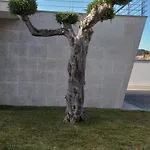 בית הארחה Casa Do Chino