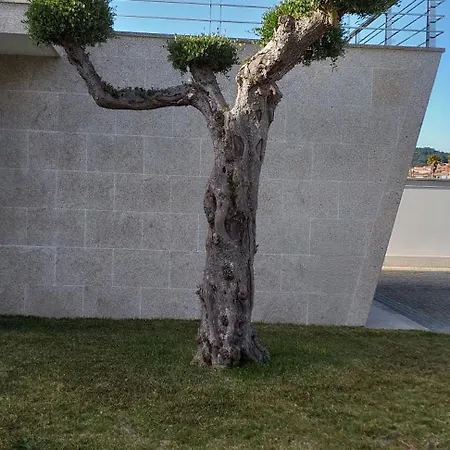 Πανσιόν Casa Do Chino